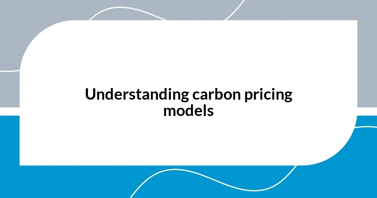 Understanding carbon pricing models