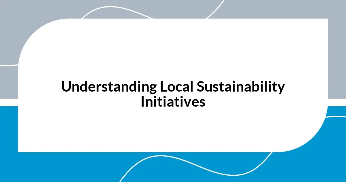 Understanding Local Sustainability Initiatives