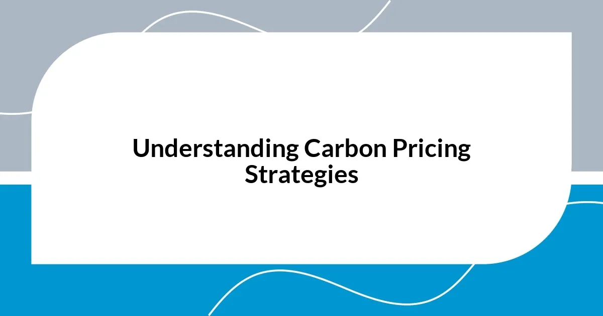 Understanding Carbon Pricing Strategies