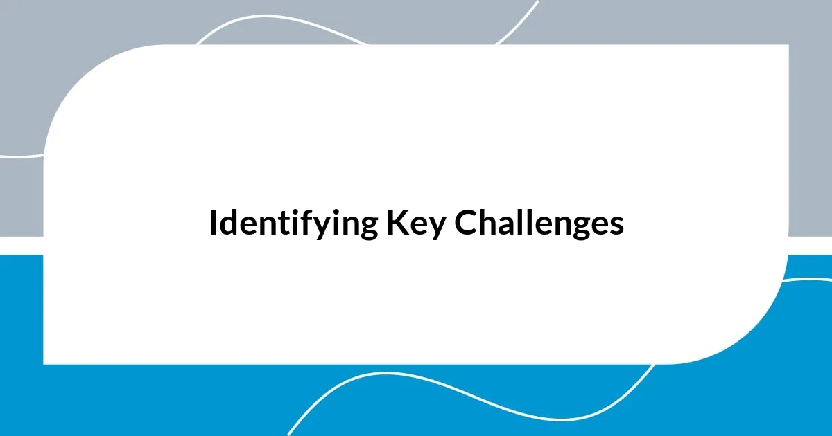 Identifying Key Challenges