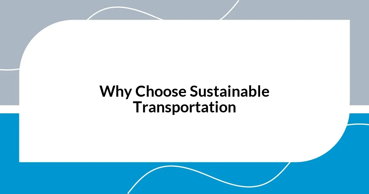 Why Choose Sustainable Transportation