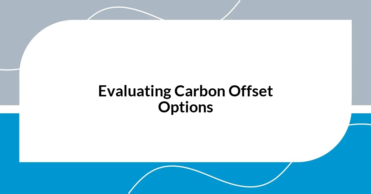 Evaluating Carbon Offset Options