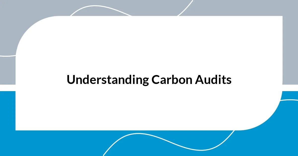 Understanding Carbon Audits