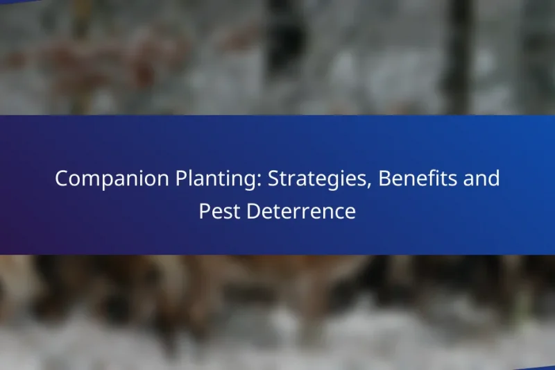 Companion Planting: Strategies, Benefits and Pest Deterrence