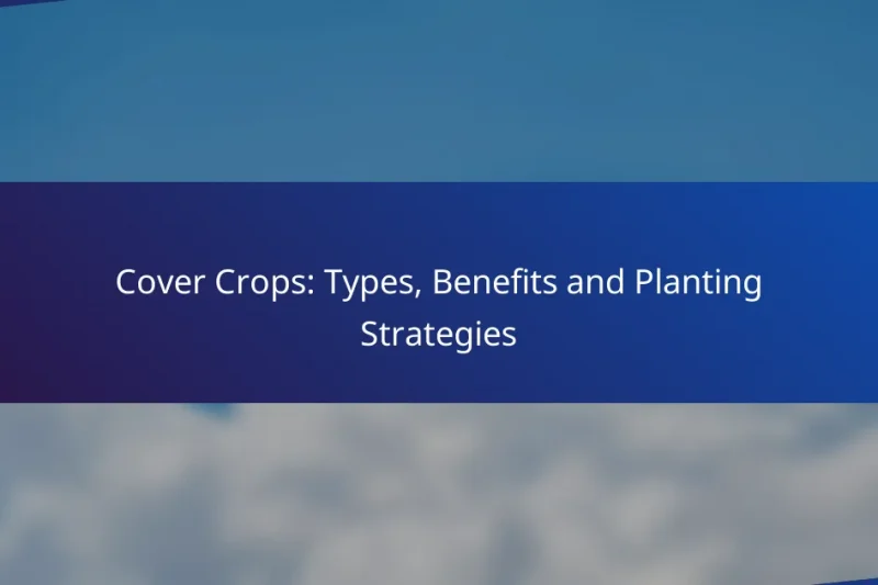 Cover Crops: Types, Benefits and Planting Strategies