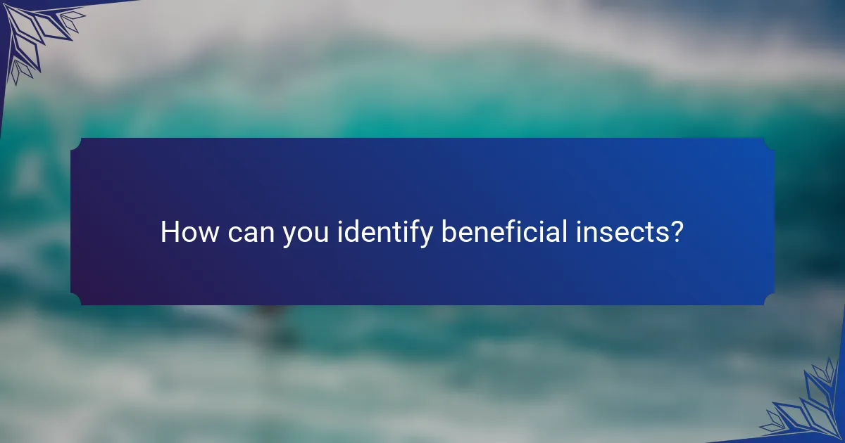 How can you identify beneficial insects?