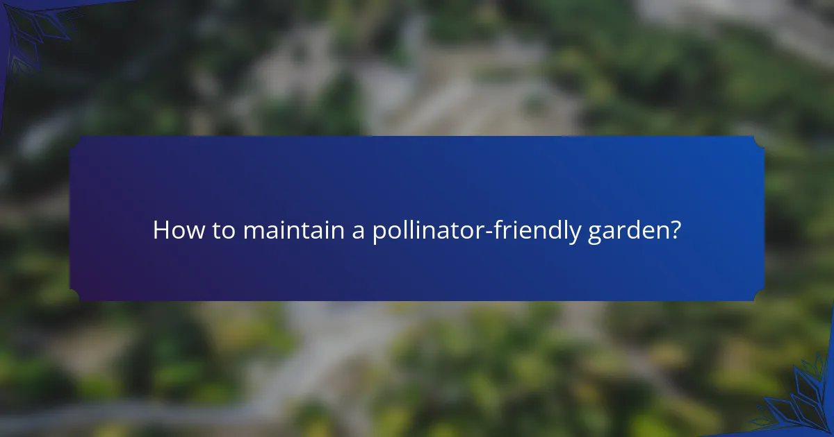 How to maintain a pollinator-friendly garden?
