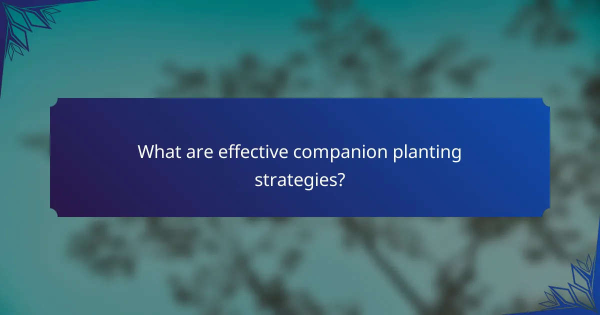 What are effective companion planting strategies?