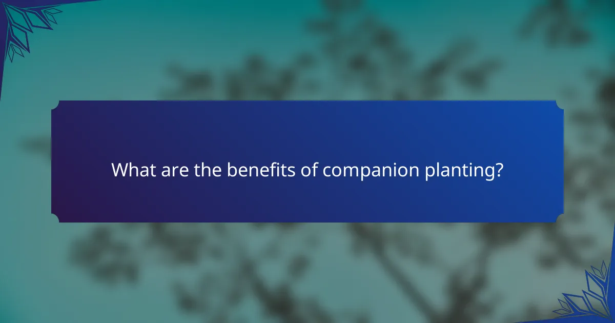 What are the benefits of companion planting?