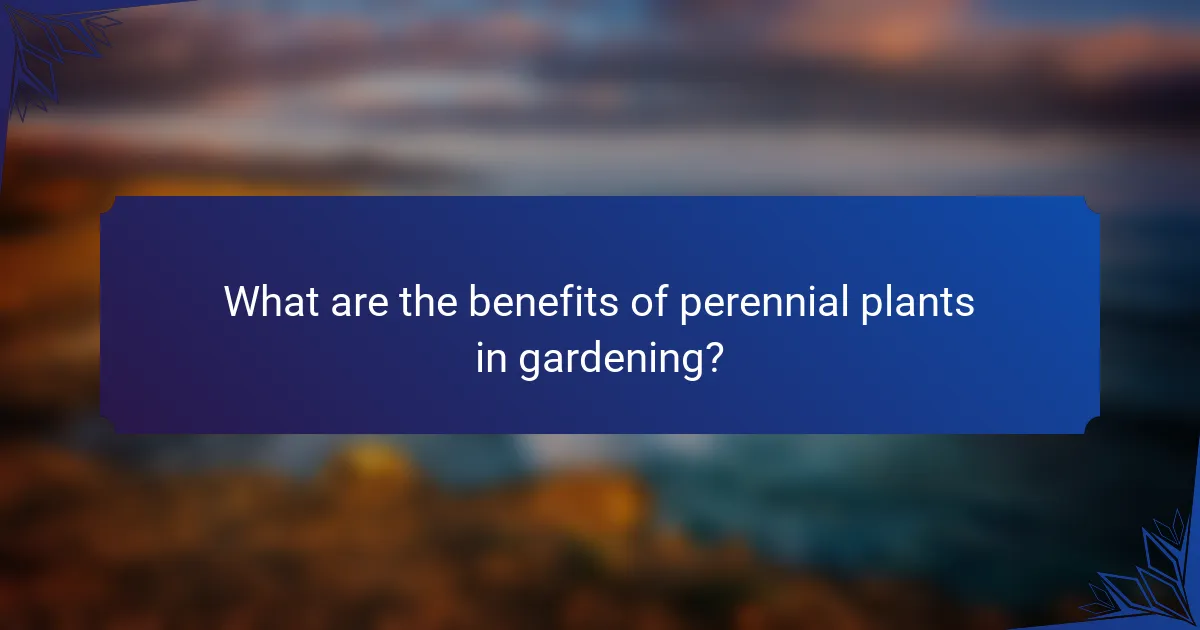 What are the benefits of perennial plants in gardening?
