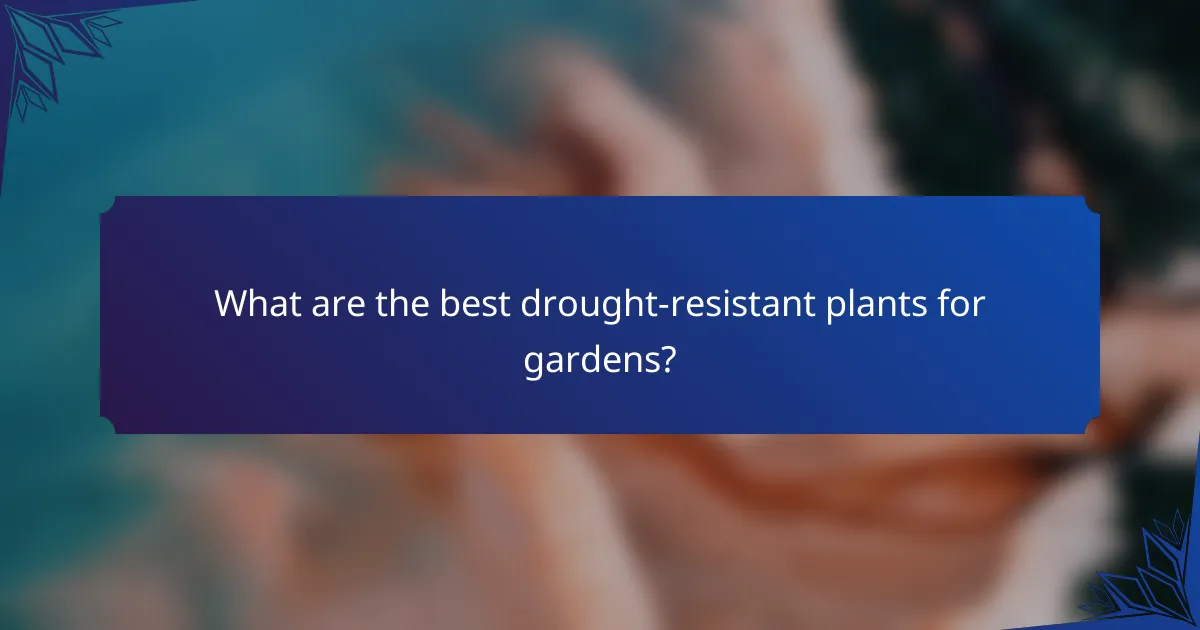 What are the best drought-resistant plants for gardens?