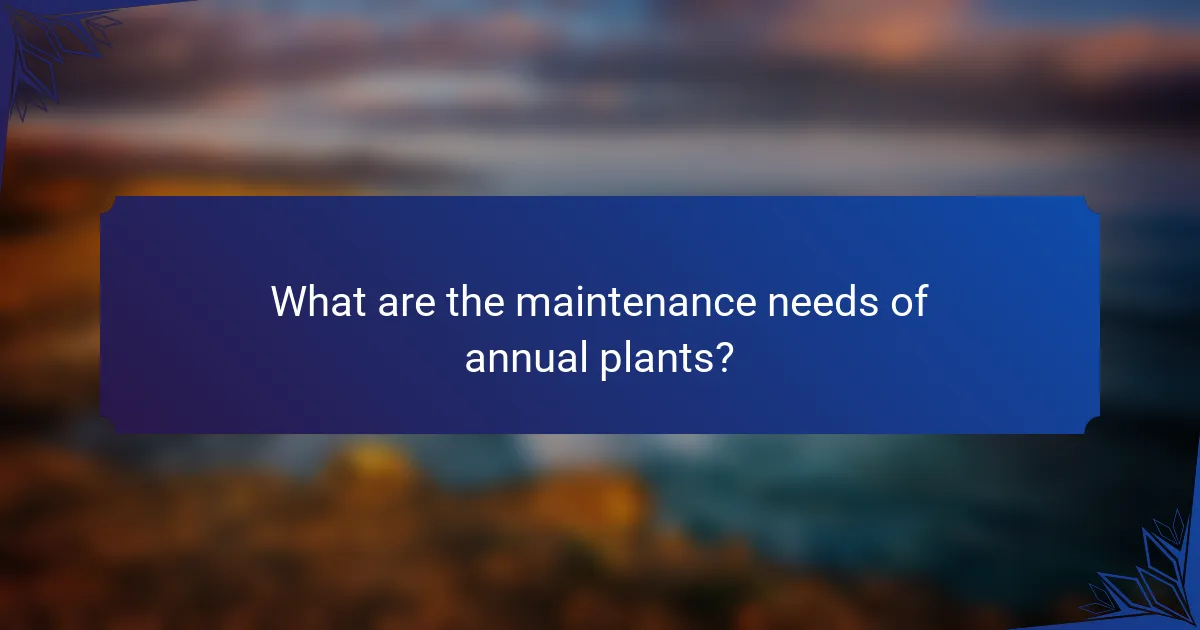 What are the maintenance needs of annual plants?