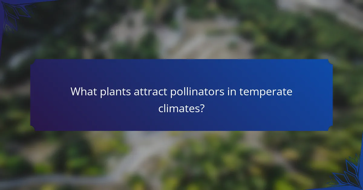 What plants attract pollinators in temperate climates?